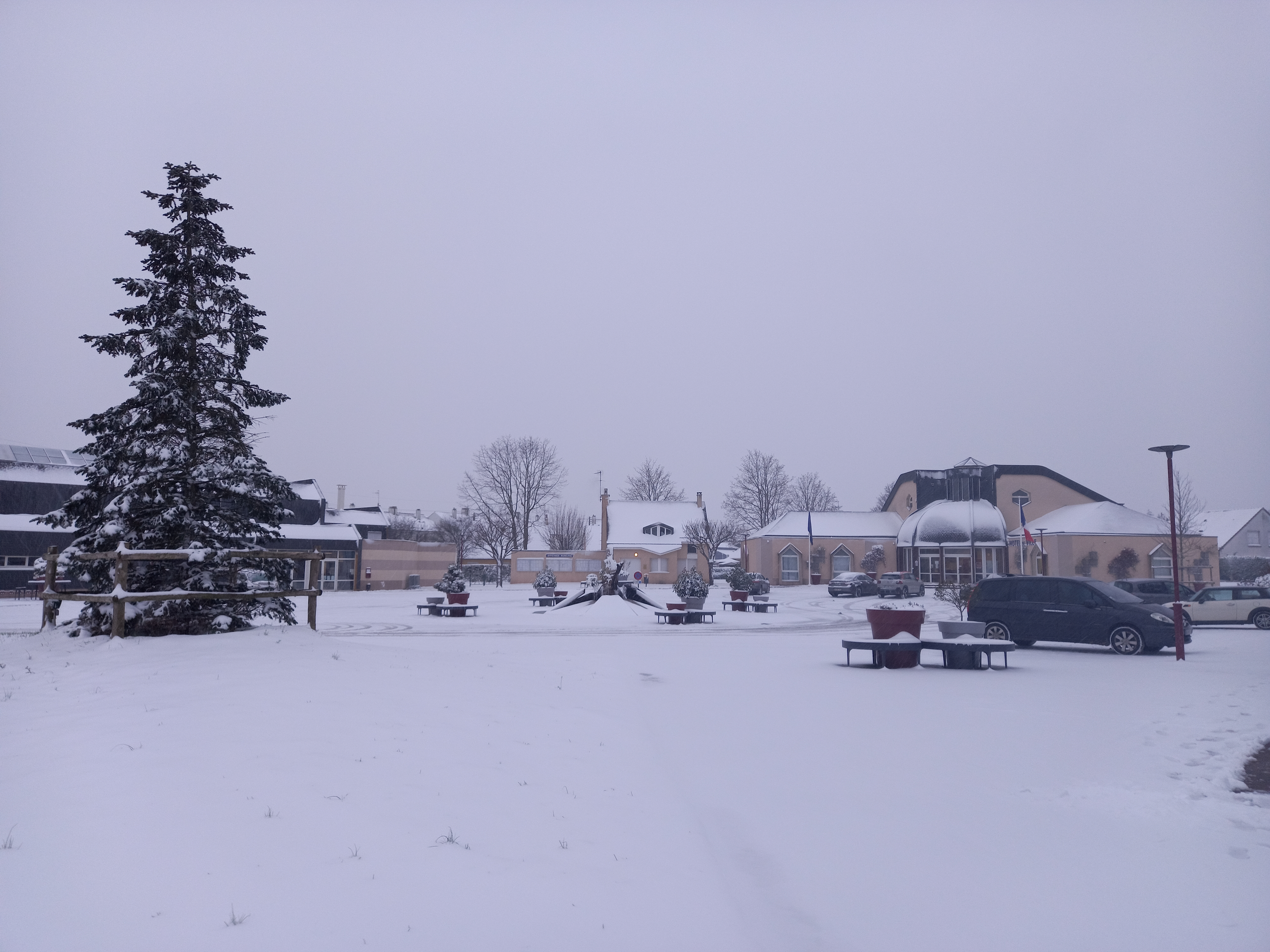 20210210_083423.jpg (13.42 MB)